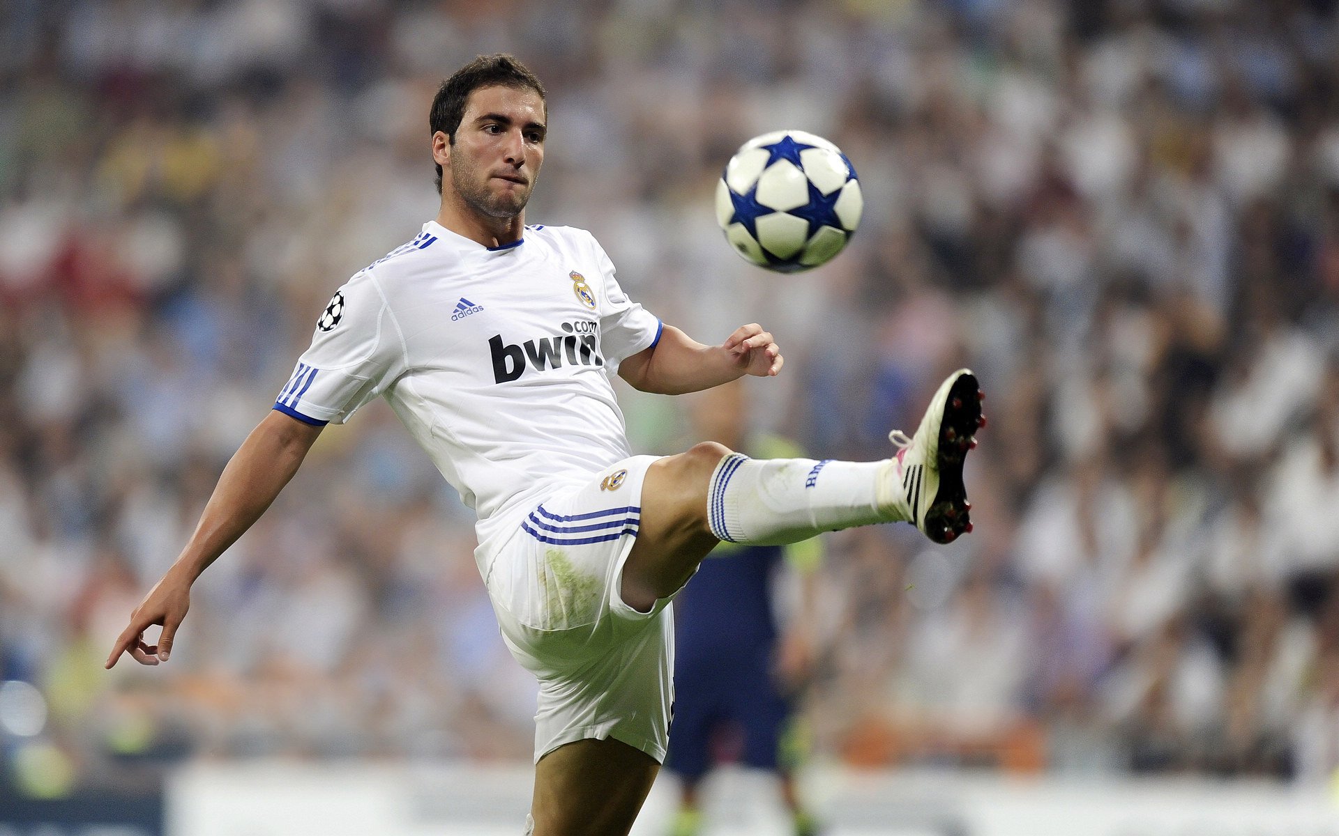 开云体育-火爆现场：球迷欢呼不断，气氛火热！，球迷欢呼视频